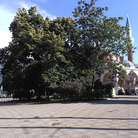 Centralni Hali